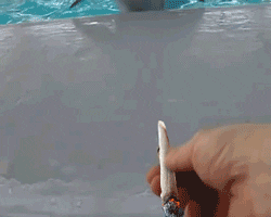 Weed Smoking GIF - Find & Share on GIPHY