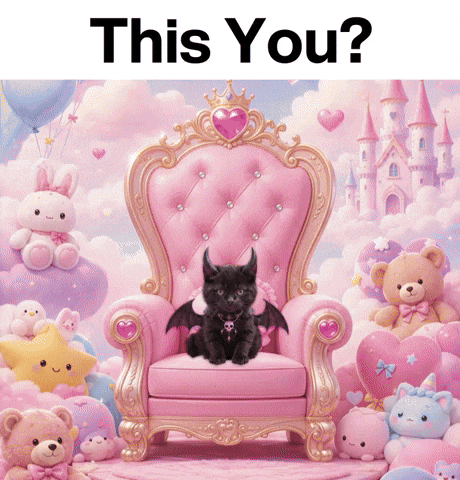 Cat Kitten GIF