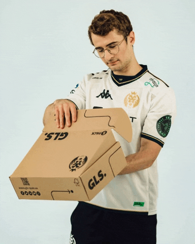 League Of Legends Delivery GIF by GLS Spain
