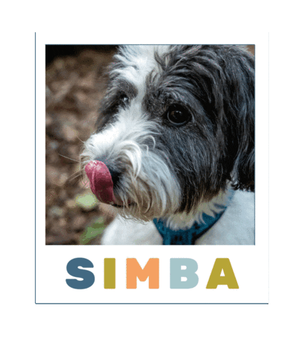 Anne-Marie Vissers Sticker