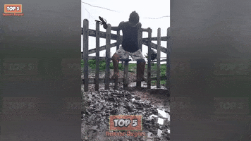 Instant Regret GIF