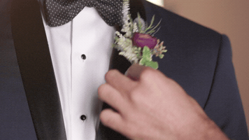 redeyedspy  GIF