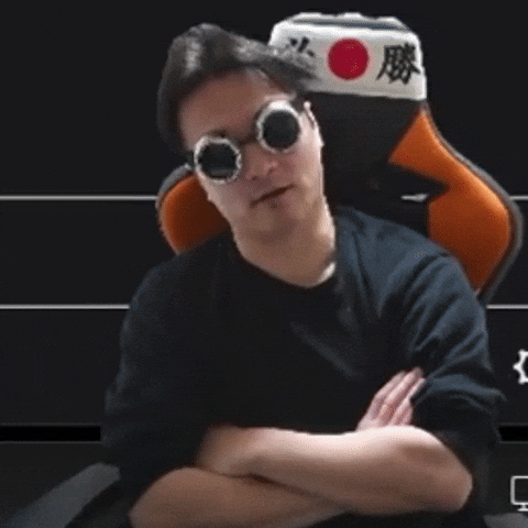 Sunglasses Goggle GIF