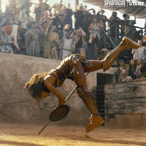 Tv Show Fight GIF by Spartacus