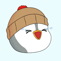 Ha Ha Lol GIF by Pudgy Penguins