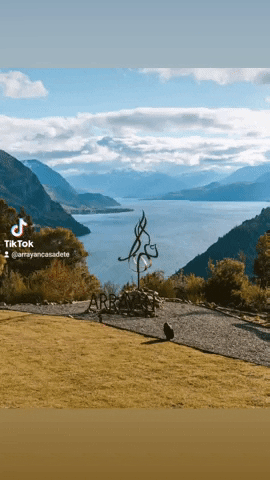 Arrayán Casa de Té GIF