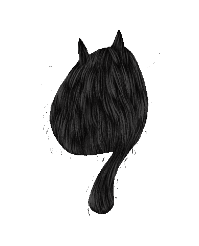 Cat Sticker