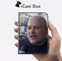 Duo Catania GIF