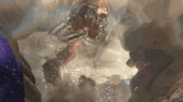 finding nemo pixar gif GIF by Disney Pixar