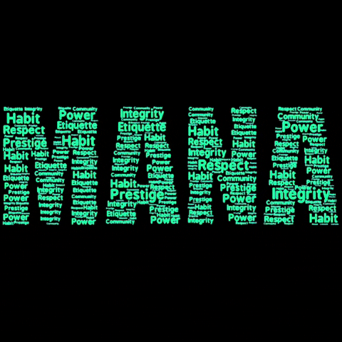CrossFit MANA GIF