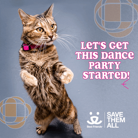 Save Them All Dance Party GIF by Best Friends Animal Society