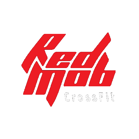 Handball Crossfit Sticker by Nacional Handebol