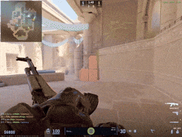 Cs2 GIF