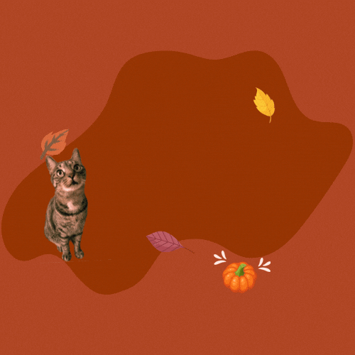 Thanksgiving GIF by Furrend