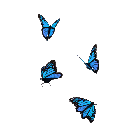 Blue Butterfly Sticker by Originals for iOS & Android | GIPHY