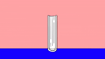 Book Birds GIF by Downtown Records