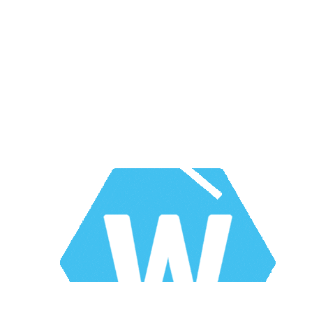 Wittirecords Sticker