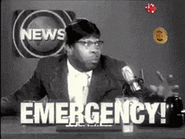 Meme GIF