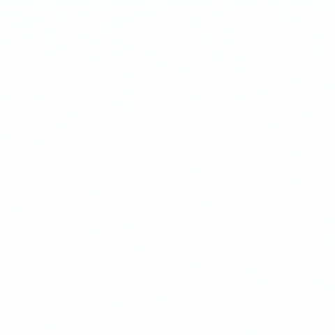 prosupport scandinavia GIF