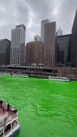 St Patricks Day Chicago GIF by Storyful