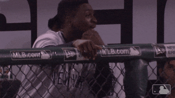 new york yankees wow GIF by MLB