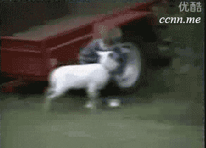 giphy.gif?cid=ecf05e47ft0y3getcbxml8ahap