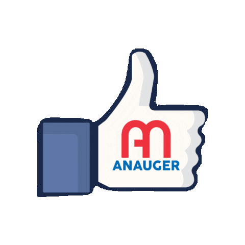 Industria de Motores Anauger Sticker