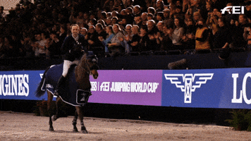 Celebrate Show Jumping GIF by FEI Global