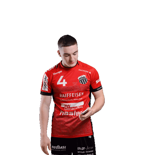 Pfadi Winterthur Handball Sticker