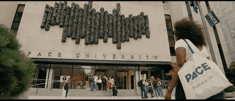 College Nyc GIF by Pace University