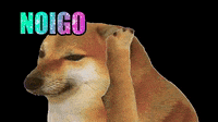Cheemsmeme GIF by Revicheems - Find & Share on GIPHY