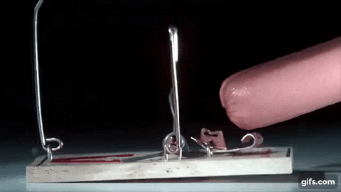 Watch this guy slow-motion jump onto a trampoline covered in mousetraps so you don't have to.