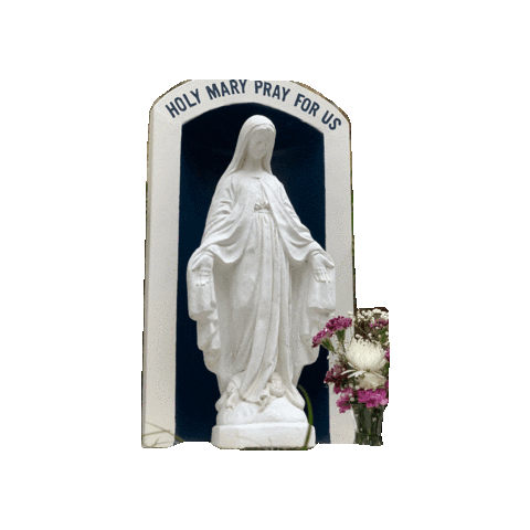 stthomasmoreusc Sticker