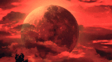 B Movie Comedy GIF by O Velho e a Espada