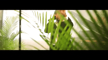 200.gif?cid=fc005b08f8d36478e093e022d5c41806d19849817dee69cd&rid=200.gif&ct=g