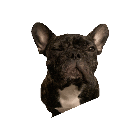 ErnestosCandles Sticker