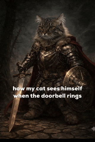 Mrwhiskerz GIF