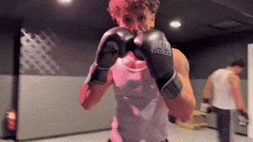 Iliesse GIF