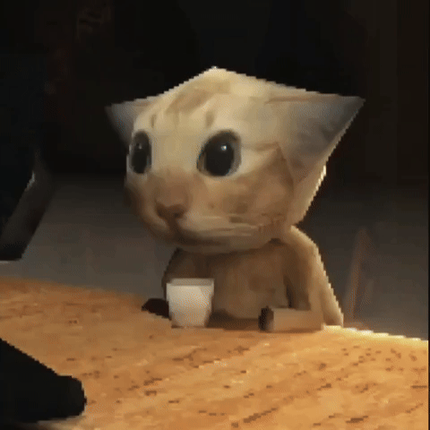 Cat Drinking Tabib GIF
