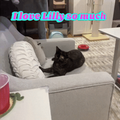 Silly Lilly GIF