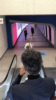 200.gif?cid=fc005b085e86aef81661181a601970faececd955add2966a&rid=200.gif&ct=g