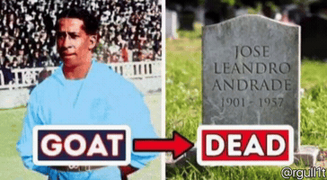 Goat GIF