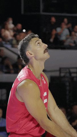 Sport Ball GIF by Volleyball World