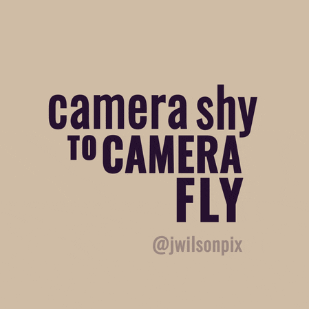 Camera Shy GIF by JWilsonPix