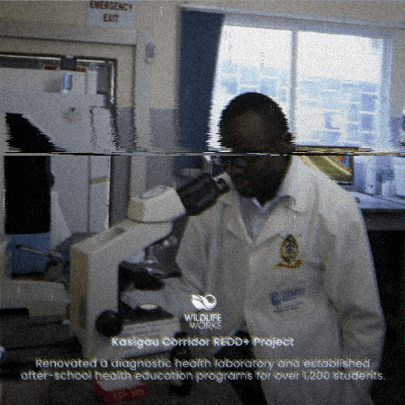 Wildlife Works GIF