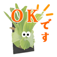 Ok Sticker