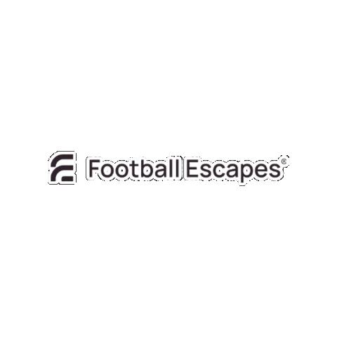 Fe Sticker by Footballescapes