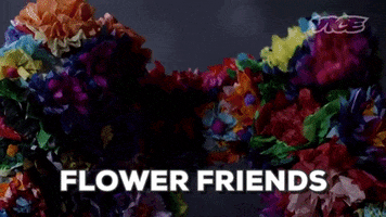Friends Flowers GIF by VICE