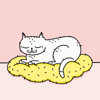 Norvina-cat GIFs - Get the best GIF on GIPHY