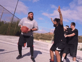Netwix Fanislabropoulos GIF